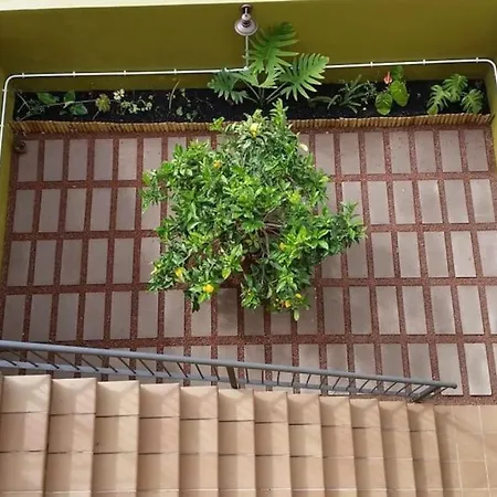 La Flor De Anaga Hotel